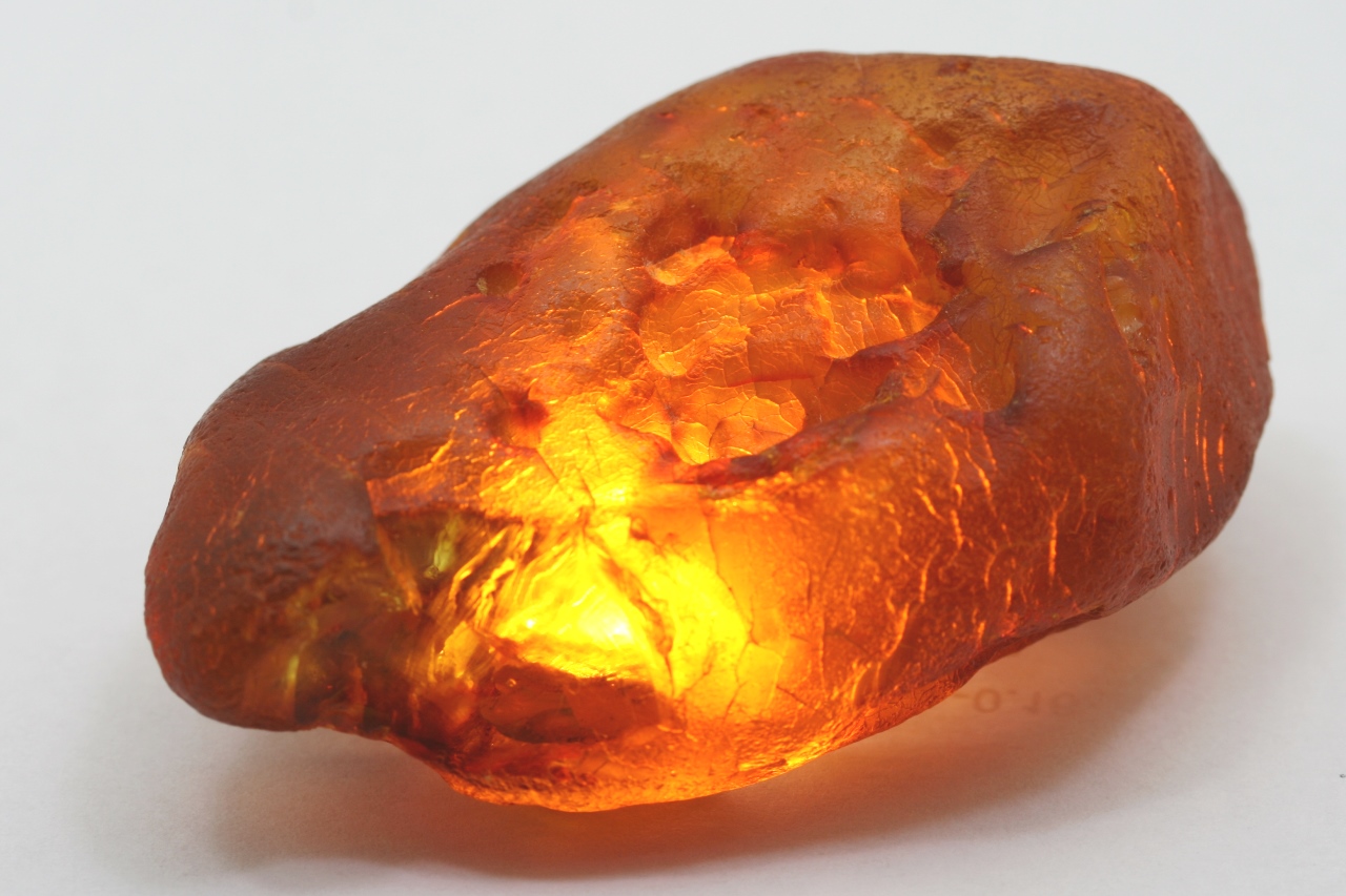 Amber - Image 10