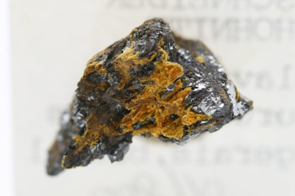 Karibibite