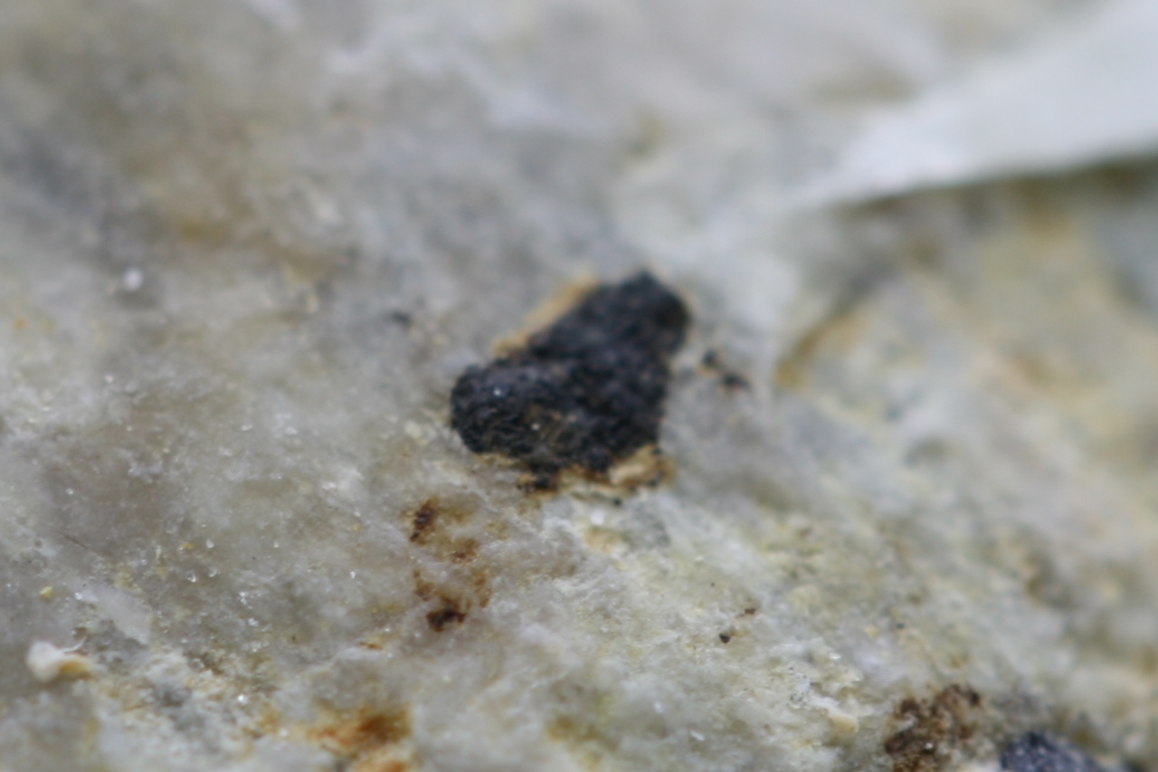 Manganotantalite - Image 6