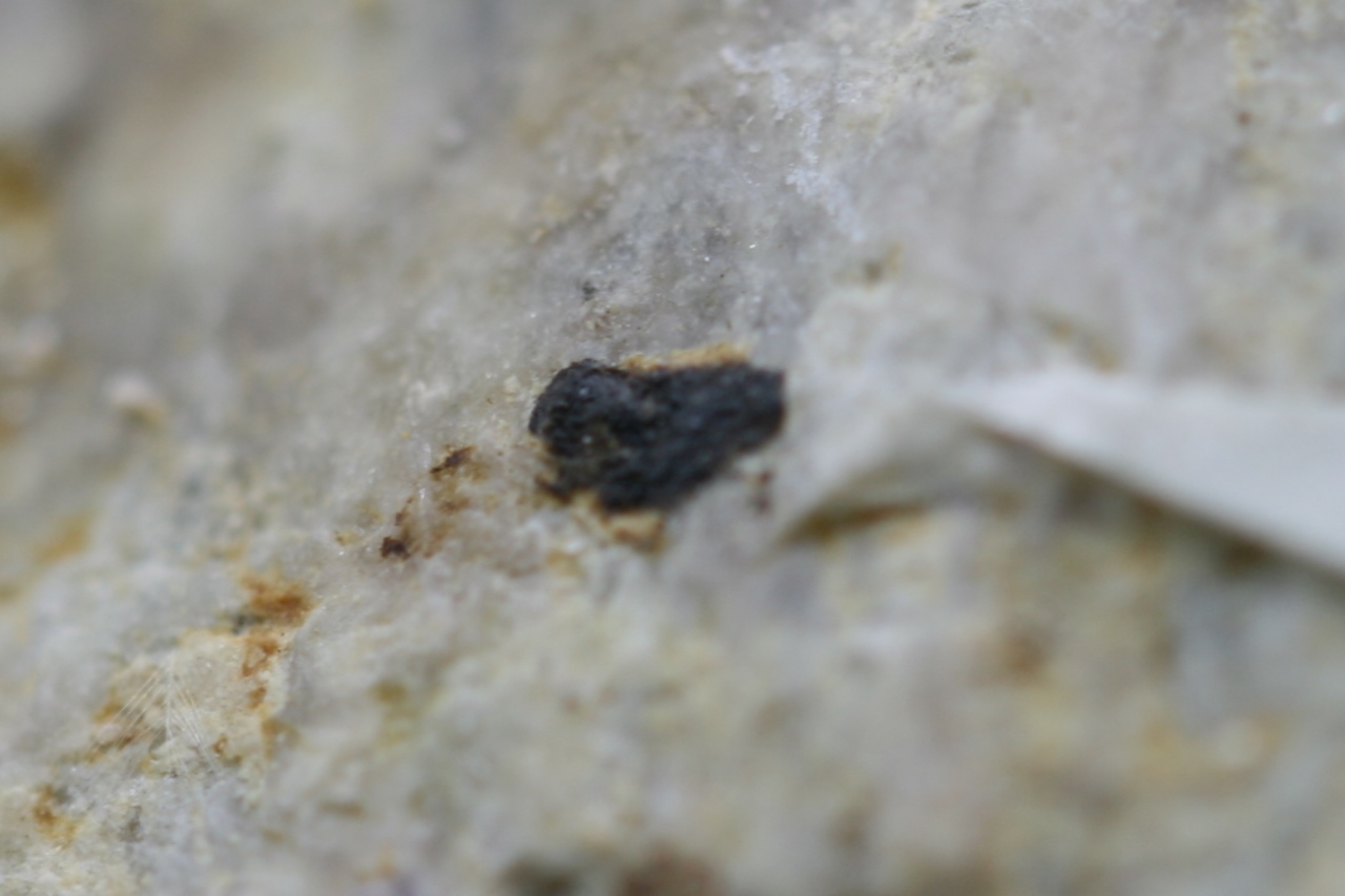 Manganotantalite - Image 7