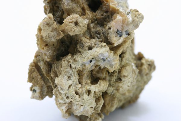 Valentinite, stibnite - Image 10