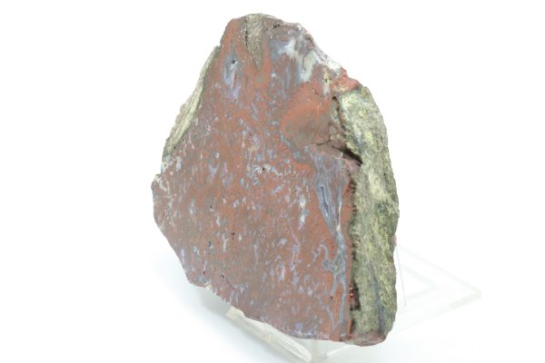 Jasper - Image 3
