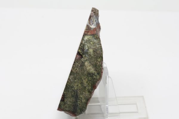 Jasper - Image 4