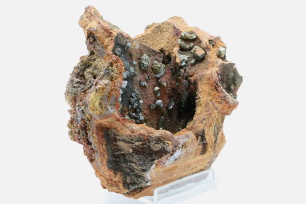 Adamine - Image 2