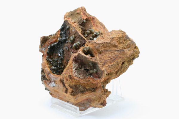Adamine - Image 4
