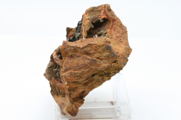 Adamine - Image 5
