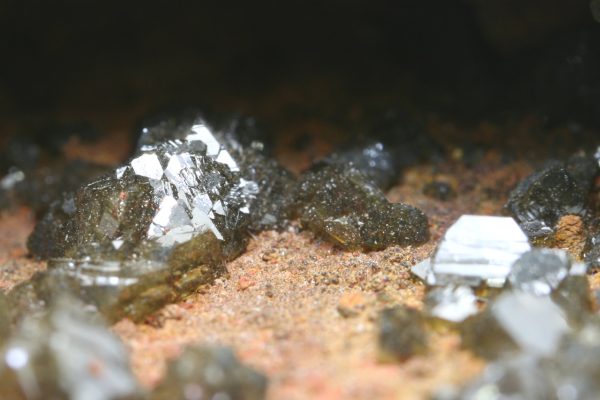 Adamine - Image 11