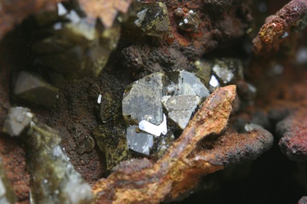 Adamine - Image 12