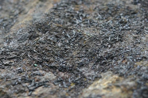 Cronstedtite - Image 10