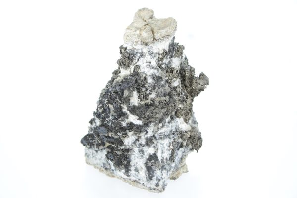 Silver, pyrargyrite, gersdorffite - Image 13