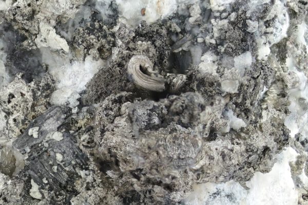 Silver, pyrargyrite, gersdorffite - Image 14