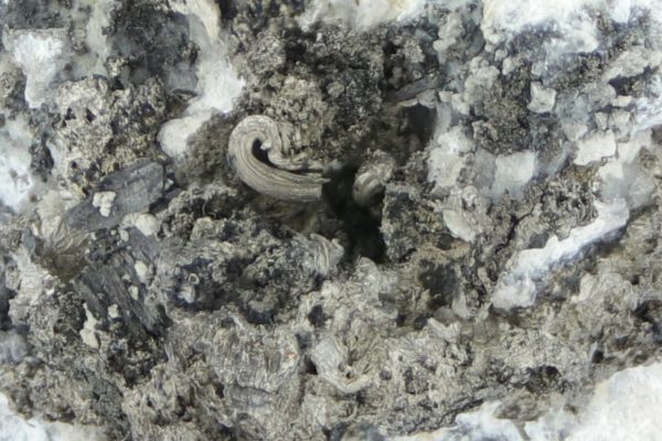 Silver, pyrargyrite, gersdorffite - Image 15