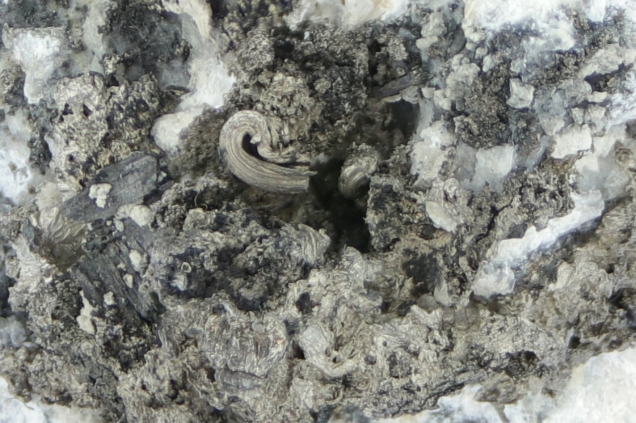 Silver, pyrargyrite, gersdorffite - Image 15
