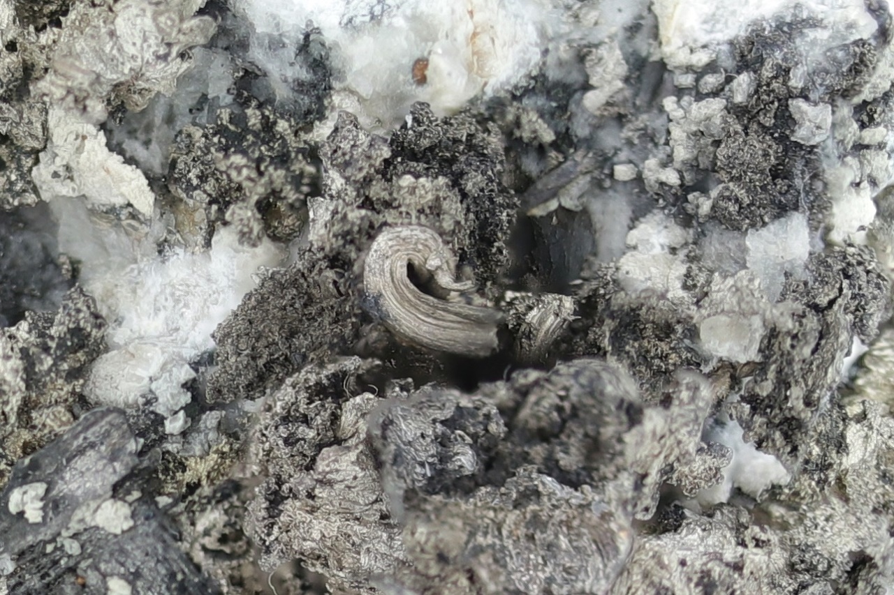 Silver, pyrargyrite, gersdorffite - Image 17