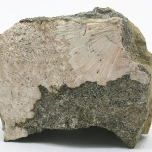 Stevensite