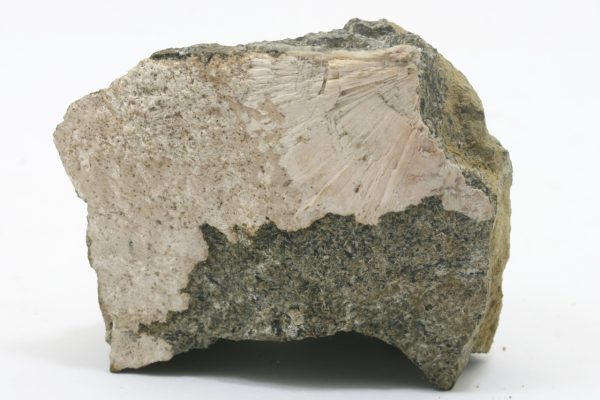 Stevensite