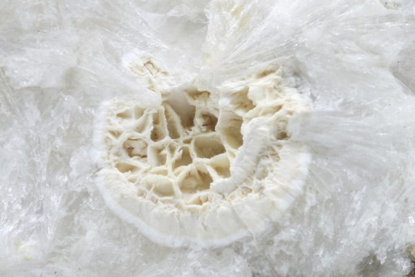 Pectolite, natrolite - Image 8
