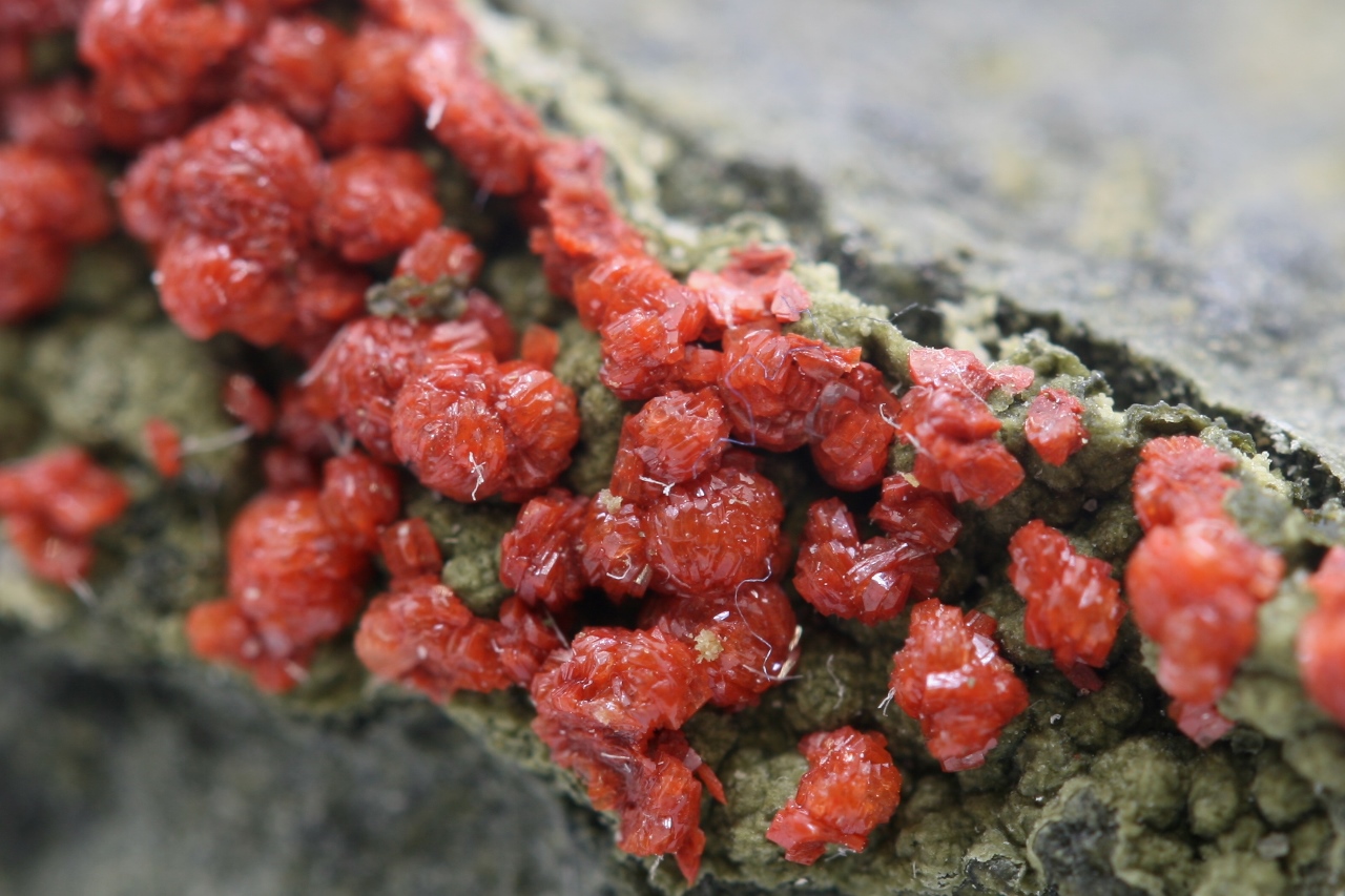 Clinoptilolite - Image 6