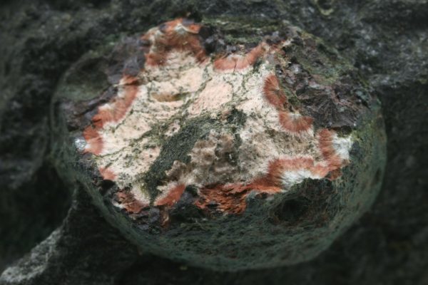 Mordenite - Image 5