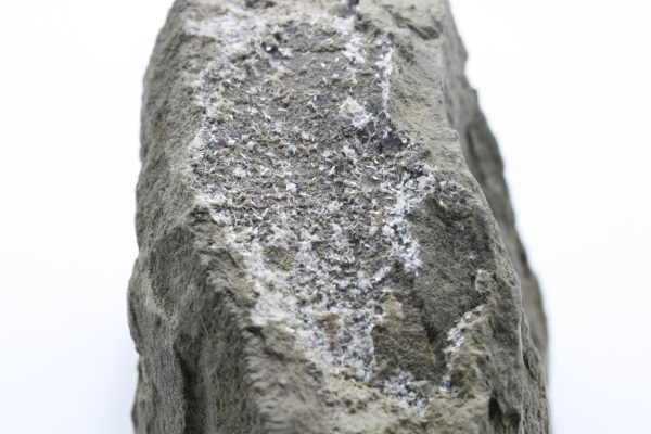 Ferrierite - NH4 - Image 4