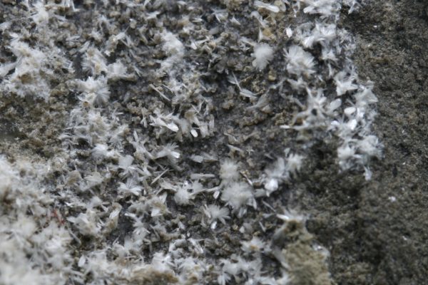 Ferrierite - NH4 - Image 5