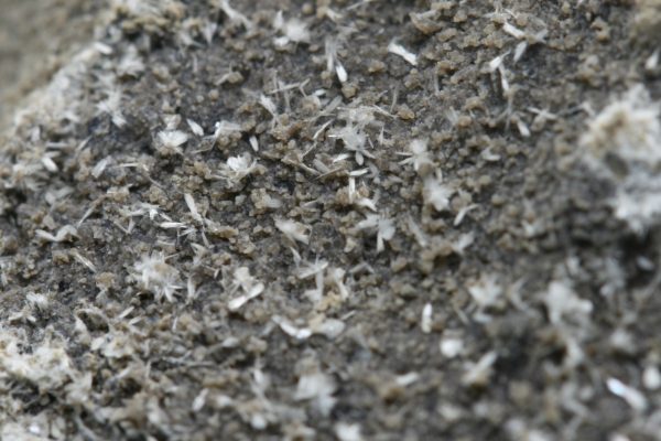 Ferrierite - NH4 - Image 6