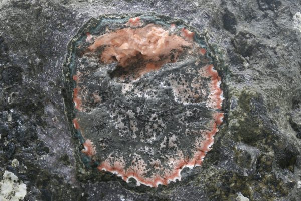 Mordenite - Image 5