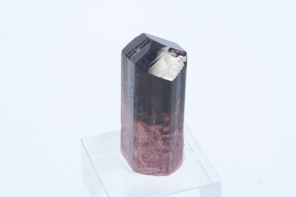 Elbaite