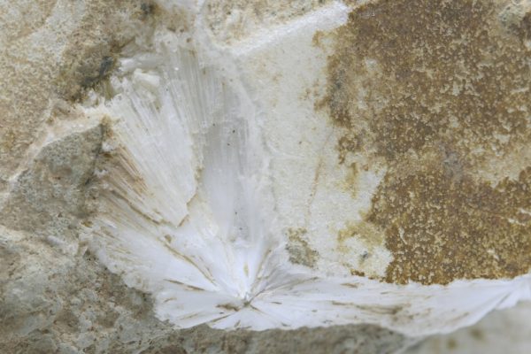 Mesolite - Image 6