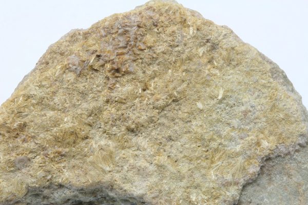 Carpholite - Image 2