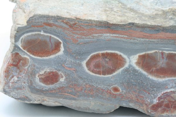 Carnelian - Image 4