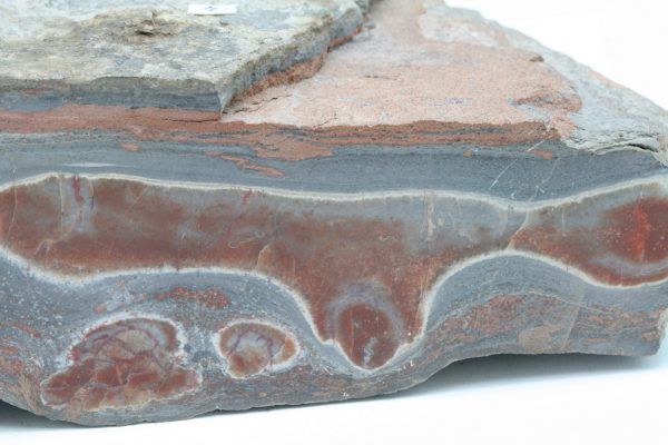 Carnelian - Image 3