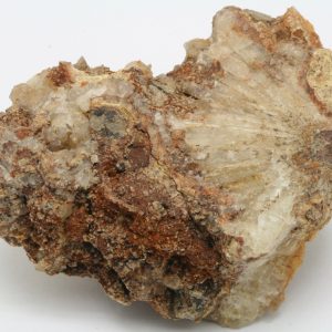 Aragonite