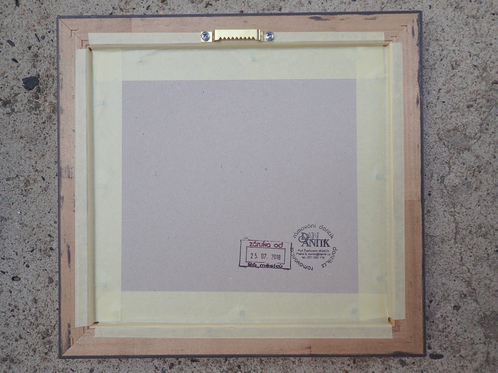 Fossilized fish - Image 2