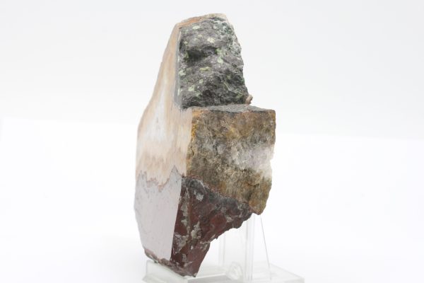 Jasper - Image 3
