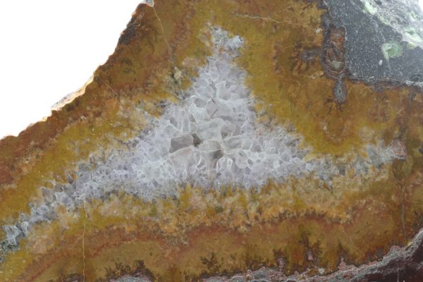 Jasper - Image 5