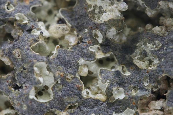 Paulingite, phillipsite - Image 9