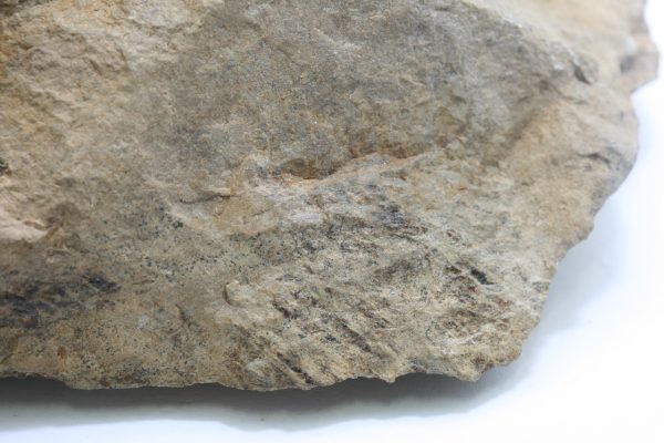 Triplite - Image 7
