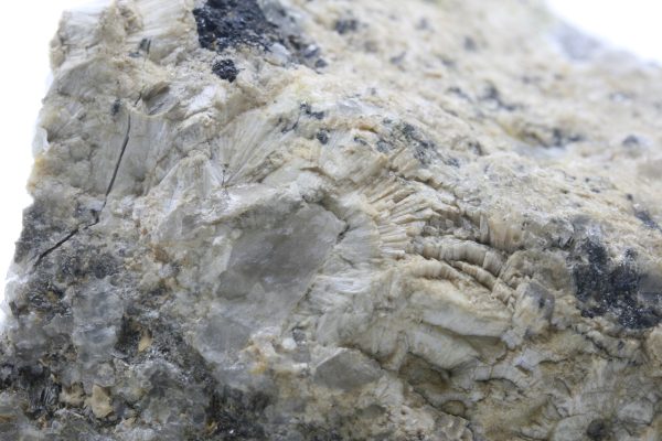 Topaz - pyknite - Image 6