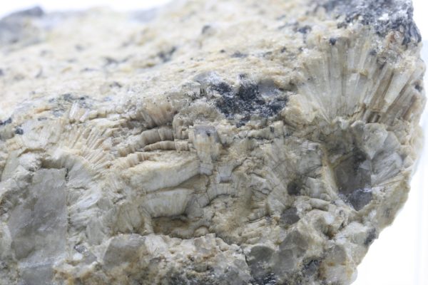 Topaz - pyknite - Image 7