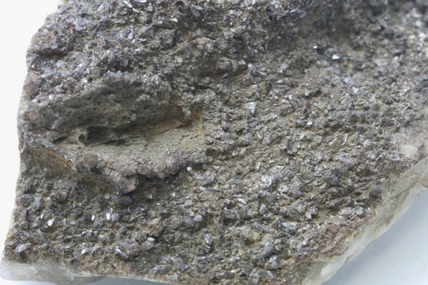 Scheelite, quartz - Image 7