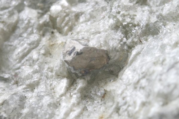 Cobaltine - Image 6