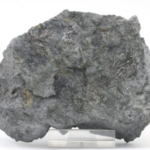 Kermesite