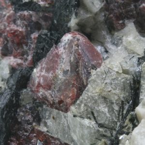 Eudialyte