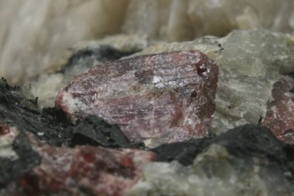 Eudialyte - Image 7