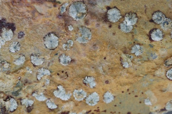 Brassite, symplesite - Image 8
