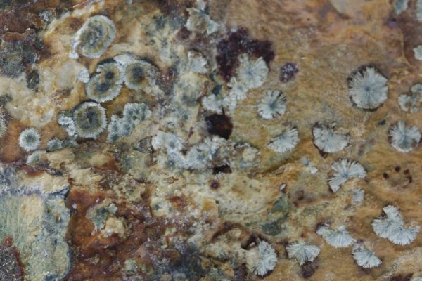 Brassite, symplesite - Image 9