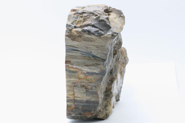 Araucarite - Image 3
