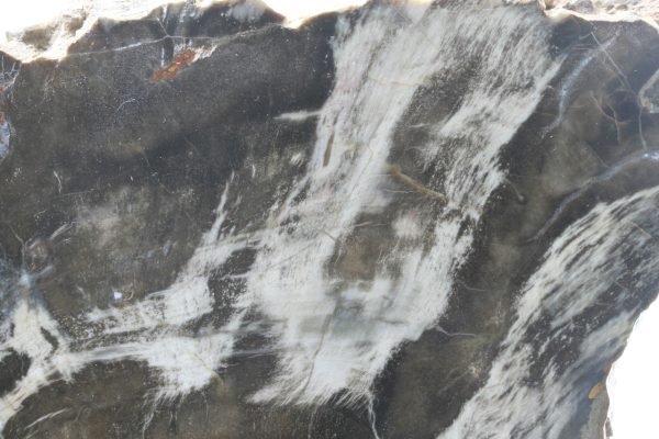 Araucarite - Image 4
