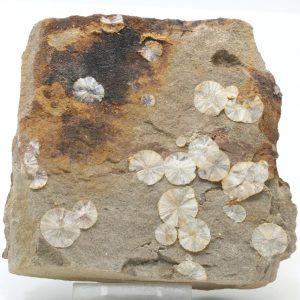 Wavellite